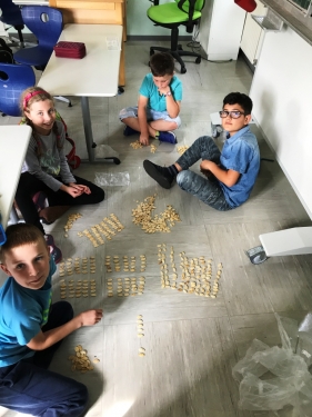 Die Zahl 1000 Kürbiskerne