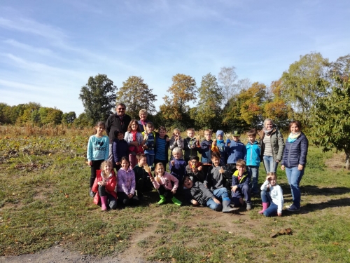 Kartoffelernte GRuppe