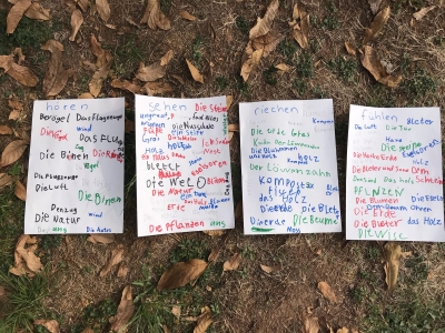 Rechnen Schulgarten4