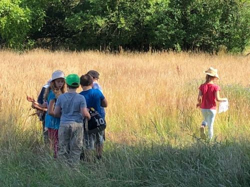 Wiesentag 2a und b 002