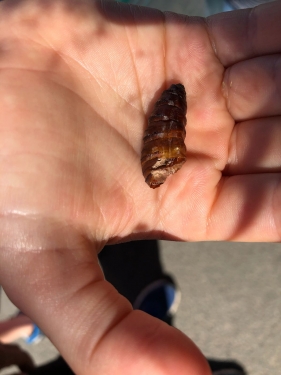 Wiesentag 2a und b 004