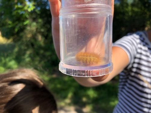 Wiesentag 2a und b 007