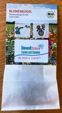 Umweltschule Samenbombe