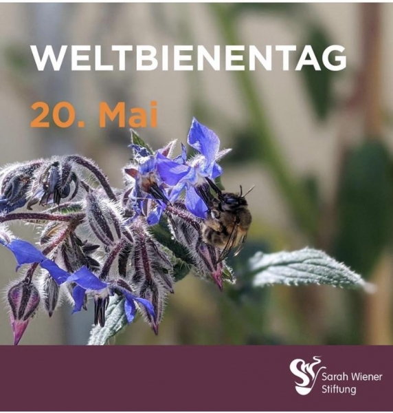 Corona Weltbienentag 1