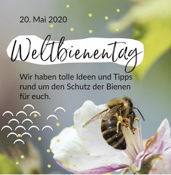 Corona Weltbienentag 2