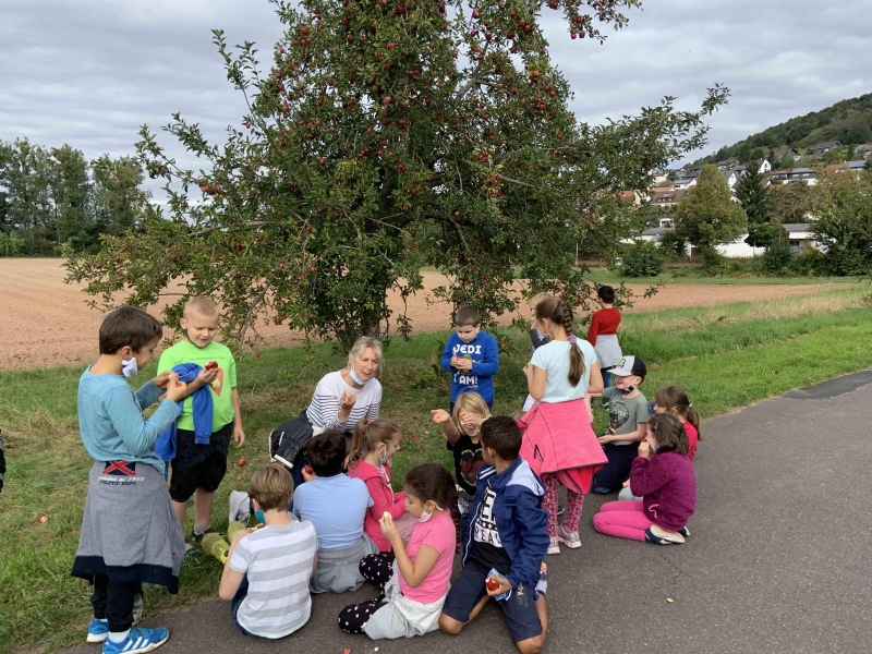 Apfelausflug kl 2IMG 4018