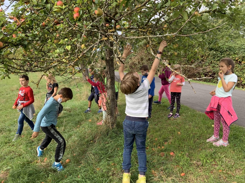 Apfelausflug kl 2IMG 4023