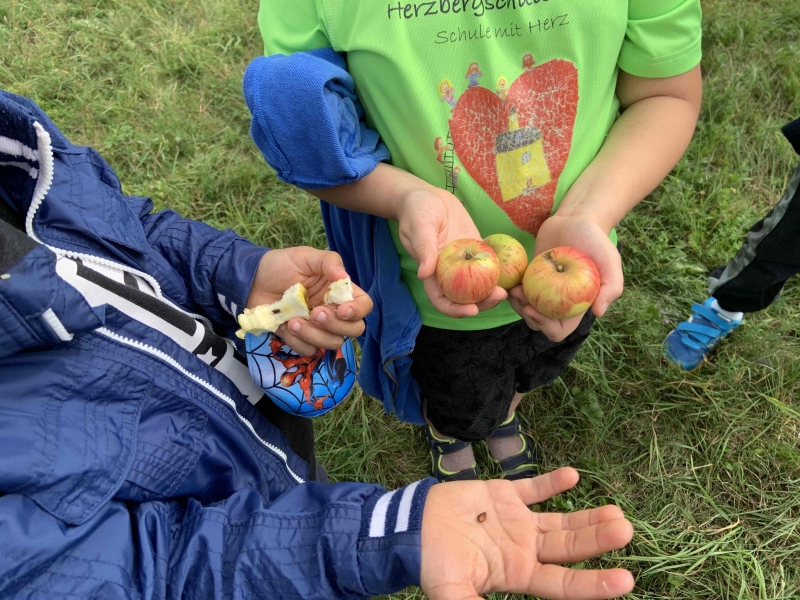 Apfelausflug kl 2IMG 4028