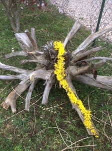 Corona Kunst im garten 1