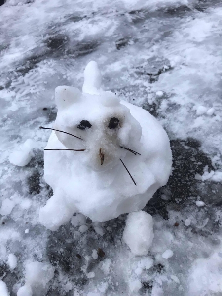 Schneekatze