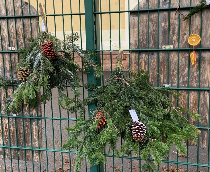 WEihnachtschallenge neu 2