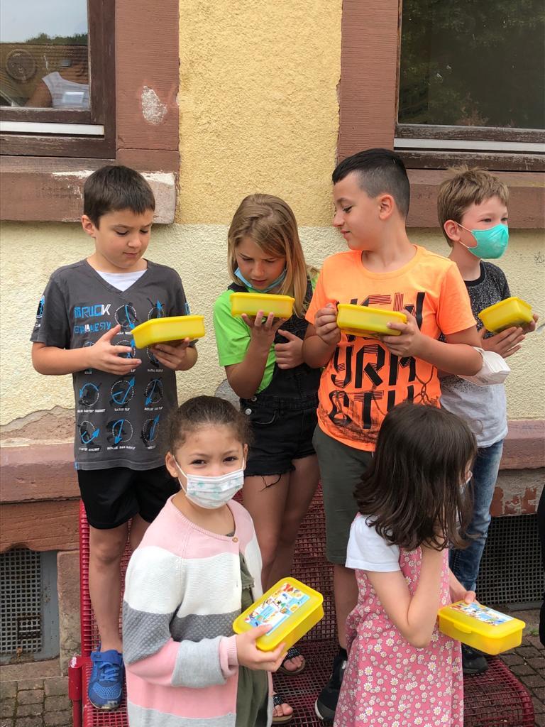 Gewinnaktion Apfelplakat