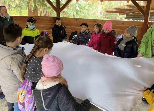 Wald Klasse 3 Abschluss