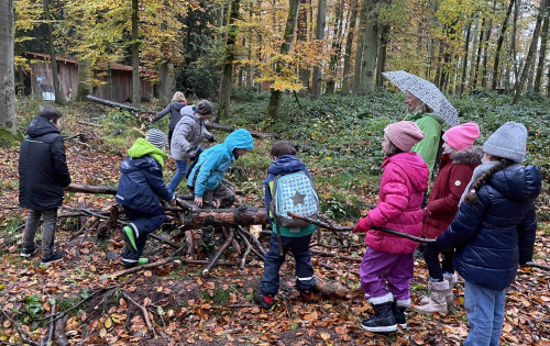 Wald Klasse 3 Brücke