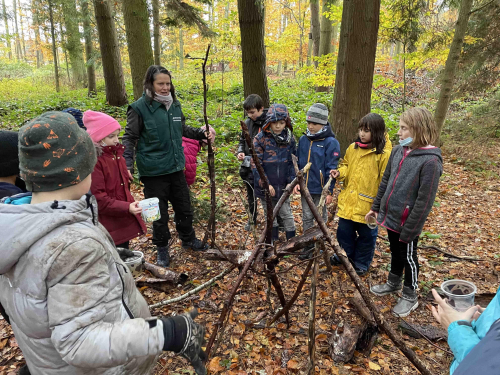Wald Klasse 3 Wasserleitung