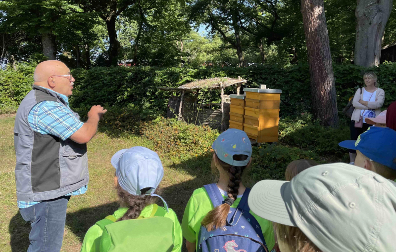 Bienenzuchtverein Bienenstock