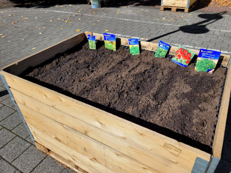 Hochbeete 3bIMG 0749