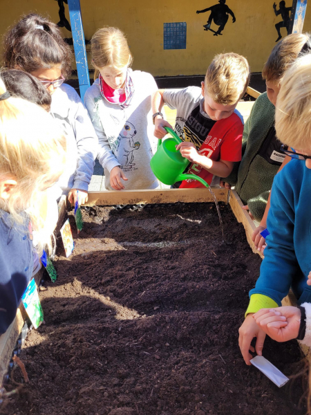 Hochbeete 3bIMG 0751