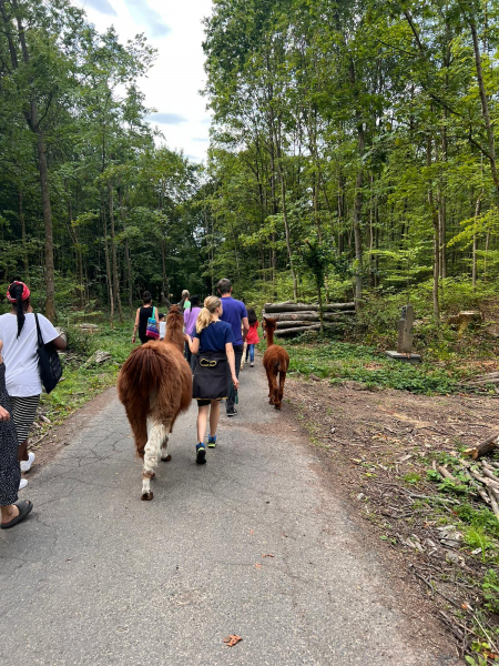 Lamawanderung1996cf55 a595 4f9c b666 efea010b51e0