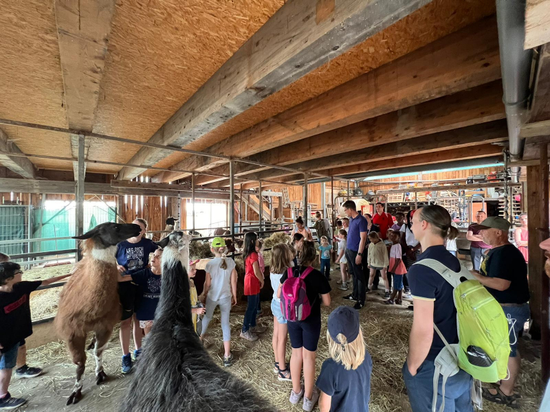 Lamawanderung68c38b7e 82d0 4c77 bb66 0508331af539