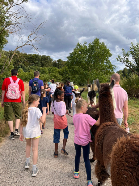 Lamawanderunge463fcb1 80d3 4f6c ac2e e75f382daab3