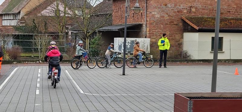 Fahrradführereschein 202455104f1a de44 4b30 8549 d1e4c28b9e60