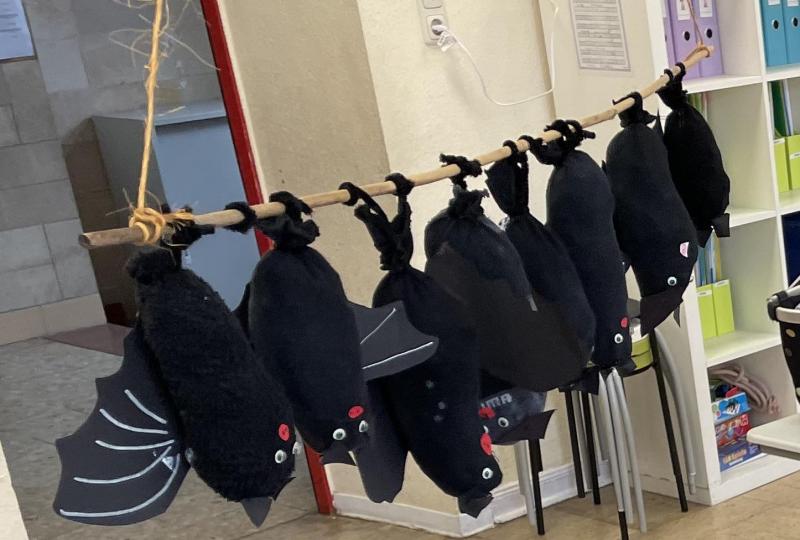 Vorlesetag 2024 Fledermäuse