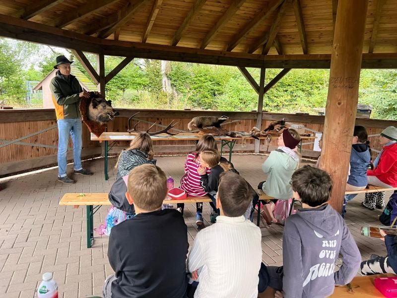 Waldausflug Fledermäuse9040476d aabe 4f34 ab1b d3f4dc017155