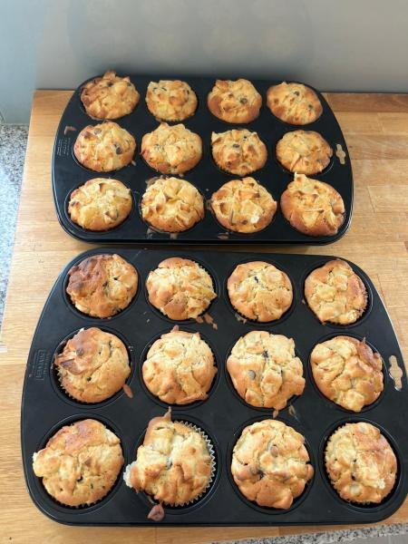 Apfelprojekt Koalas33dadd56 c776 4927 99ba 60137e91b01f