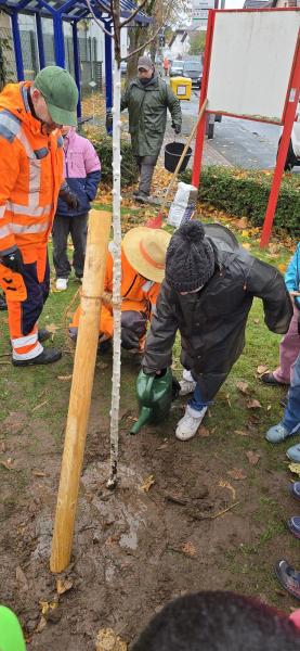 Bampflanzchallenge71ab5998 77f7 4c34 b7f7 54655b08396e