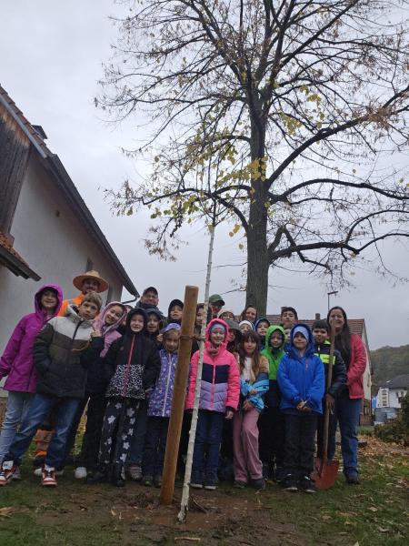 Bampflanzchallengec975f07b e0e8 468f 9016 3ae1555dba19