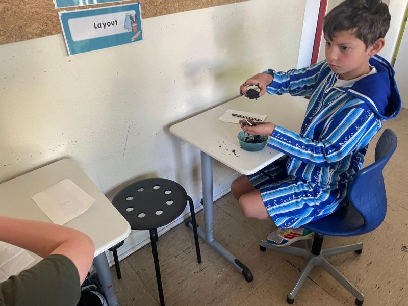 Ameise und Biene Projekt92d27c99 a59f 4f28 b2a8 b409c82d6bf7