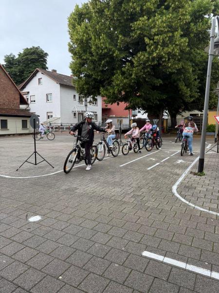 JVS 202588e198c3 4b95 4e2f 8bb9 cf4f18c3f508