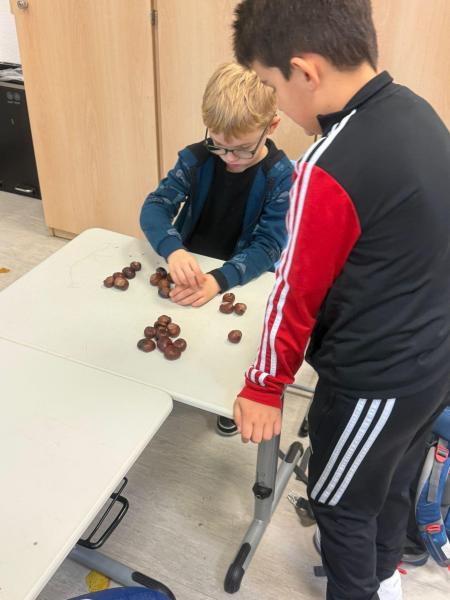 Kastanien 5ca72f1e 1c06 4fb5 a070 7d1350a83a40