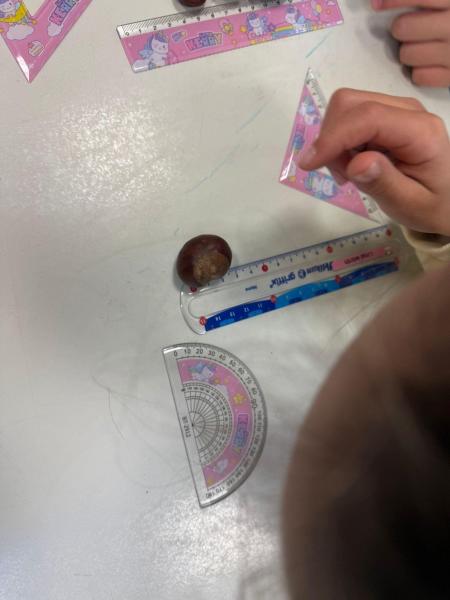 Kastanien f44a6bdd cf3a 49a3 a7f1 3758a40bb3cd