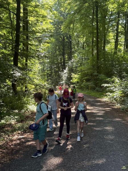 Klassenfahrt Fledermäuse33fcc53c db8f 4da8 9ebf 68b322e5bdc8