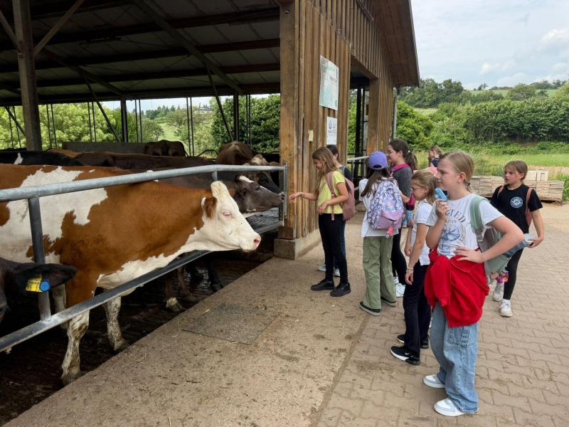 Klassenfahrt Fledermäuse93f7aa10 4976 412a 84f9 6c7fe4b8744d