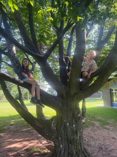 Klassenfahrt Fledermäusee727a404 2623 4047 be6a 8e01f09176ed