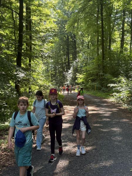 Klassenfahrt Fledermäusef4f1a063 f27c 4bad 9ea7 56f9cd14b9d2