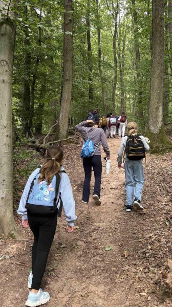 Klassenfahrt3 Wald