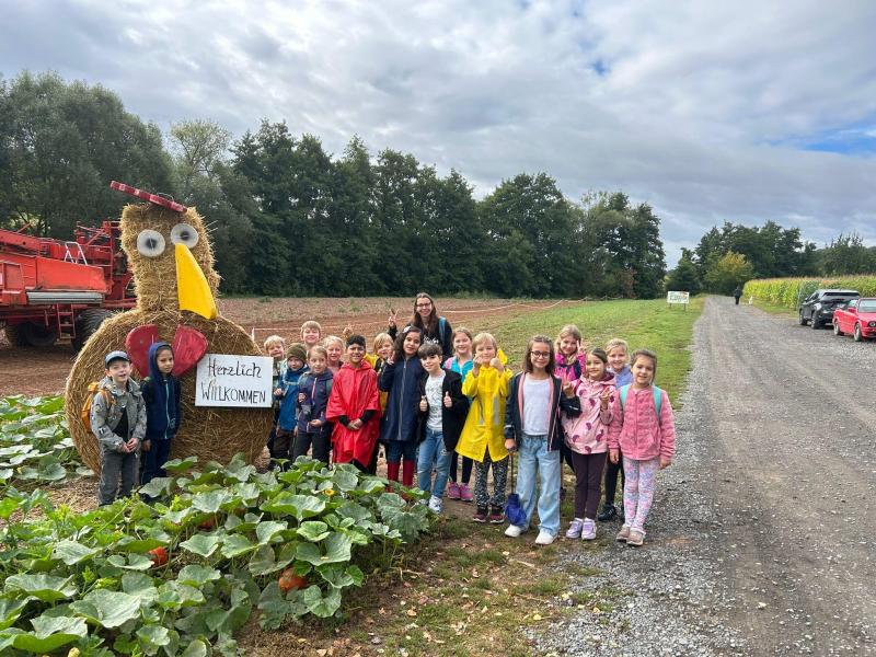 Maislabyrinth4a7a46c2 7ad5 4d5f bfad 0b4051e1759c