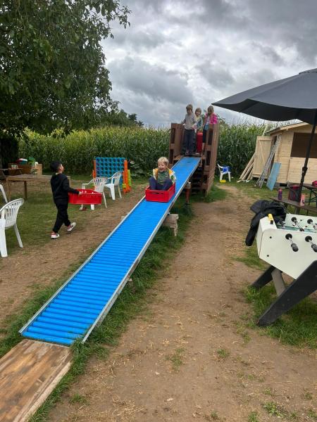 Maislabyrinth7ec1d4aa 67fc 4190 abb3 272dddffe7a9