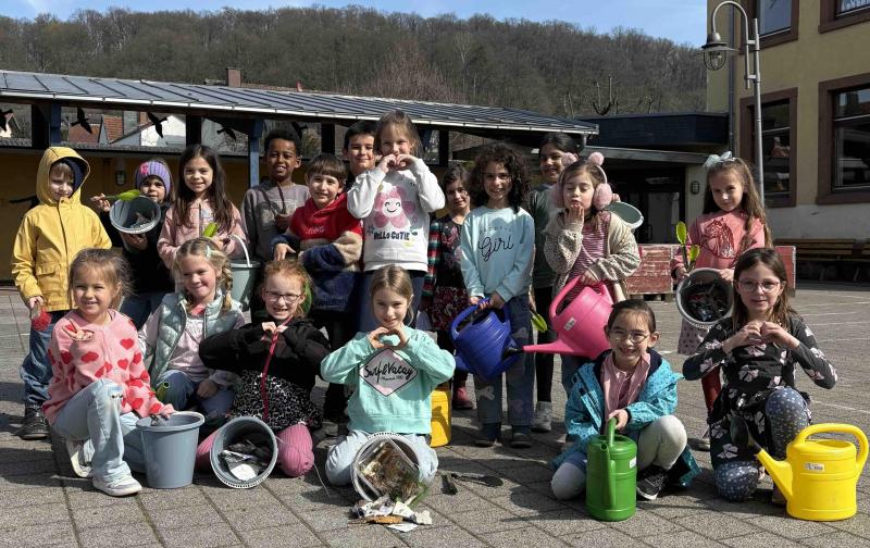 Müll sammeln Schildkröten