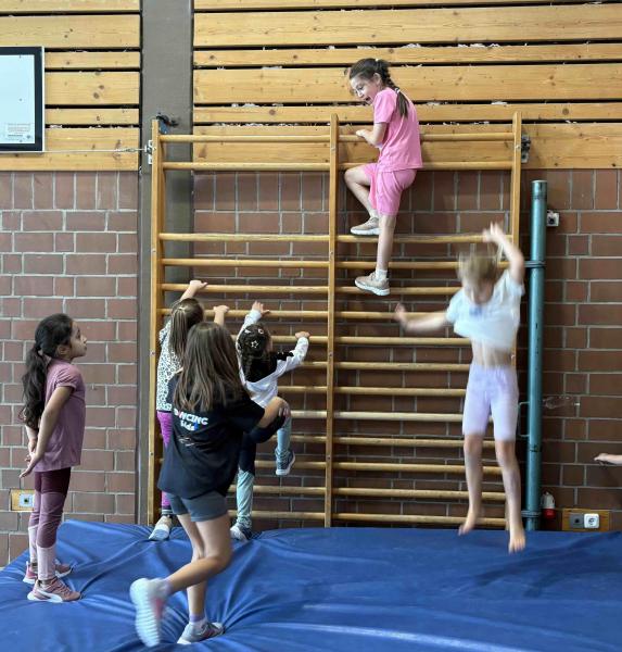 Turnen Sprossenwand