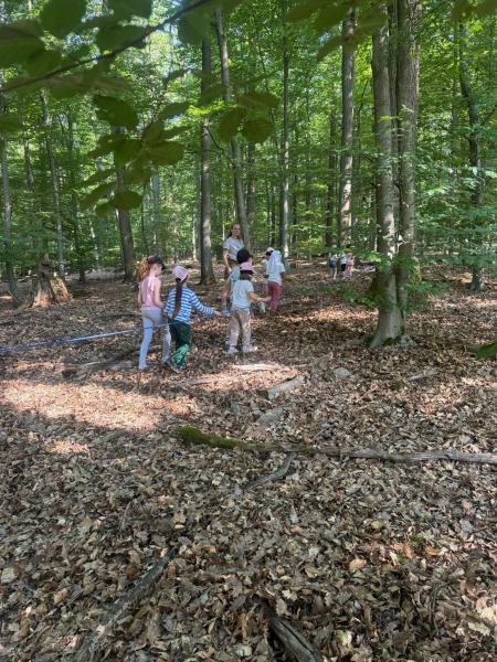Waldtag Schildkröten2e19bf95 cb8e 4ea6 898b 9d99562b0bcc