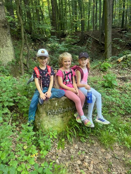 Waldtag Schildkröten538072ef 2ac8 4029 967d 34dc4f5629ef