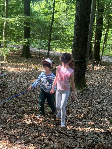Waldtag Schildkröten5aae0870 76a2 48f8 8e0e 195ad783d584