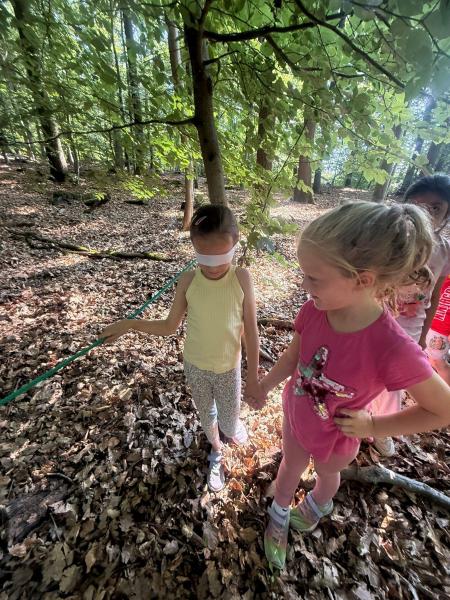 Waldtag Schildkröten8286794c 74d4 4029 91b9 8b06229878c4