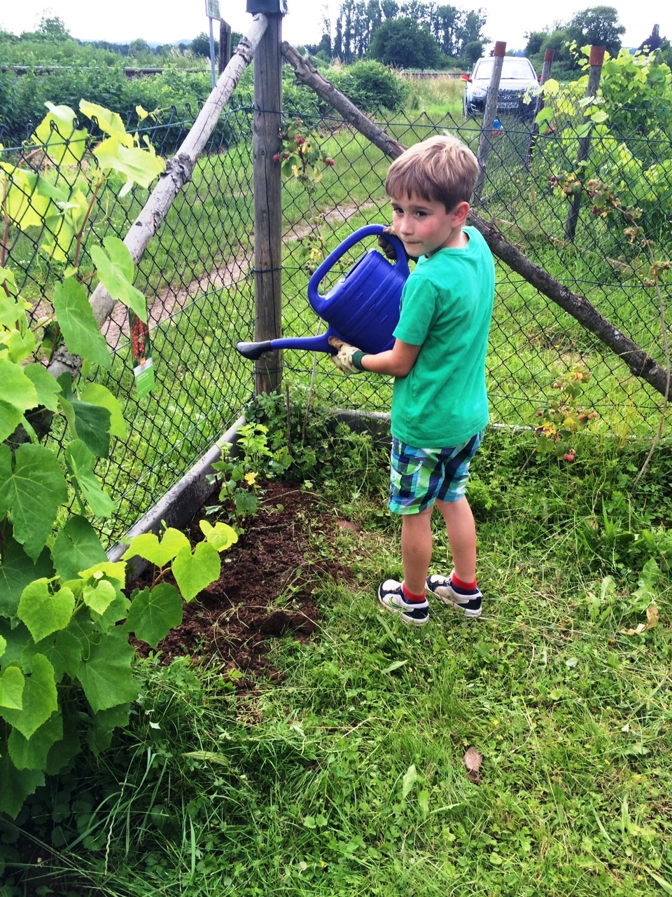 Gartenhütte Gießen