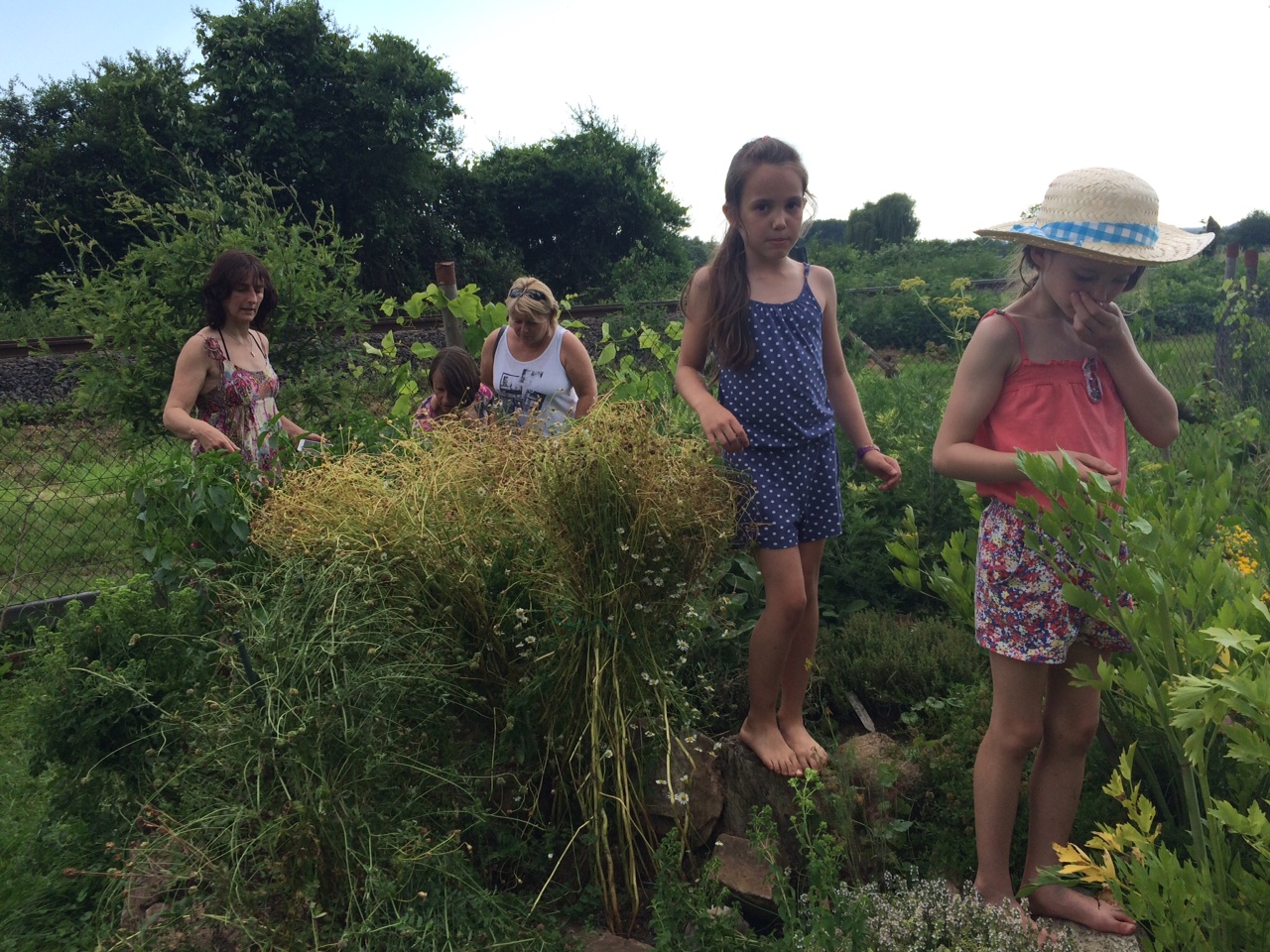 Gartenhütte Kräuter